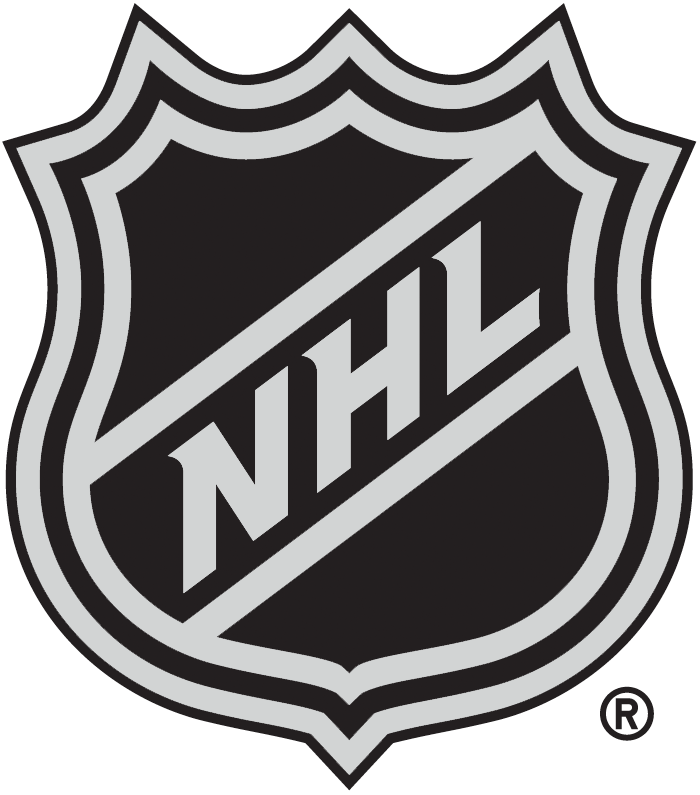 National Hockey League 2005-Pres Alternate Logo iron on transfers for clothing